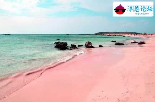 粉红色沙滩