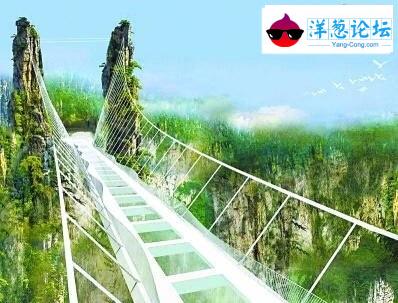 世界上最长的桥第九名：世界最长玻璃桥 湖南张家界大峡谷玻璃桥 桥面长375米