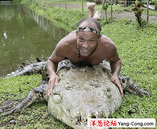 组图：男子与鳄鱼成为好朋友 一起游泳玩耍