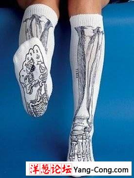 新奇的人体结构袜子和丝袜(组图)