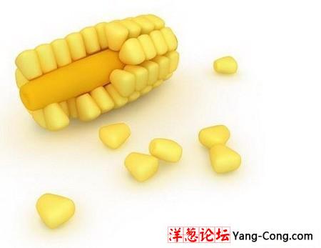 新奇有趣的玉米抱枕(组图)
