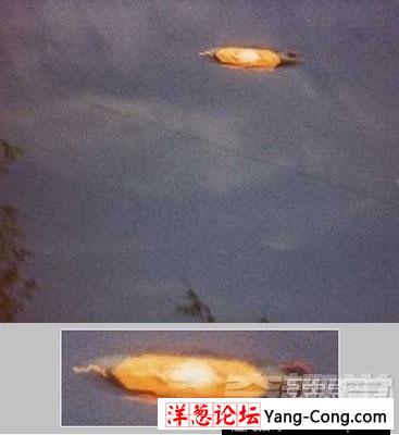 近百年最真实的UFO照(20)