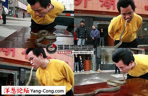 湖南岳阳一小伙街头表演生吃活蛇全过程(组图)