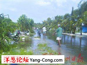 图瓦卢唯一的主干道被淹没。 广州日报 图