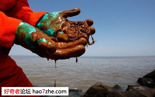 墨西哥湾生态之灾:河岸原油厚度达6米(组图)