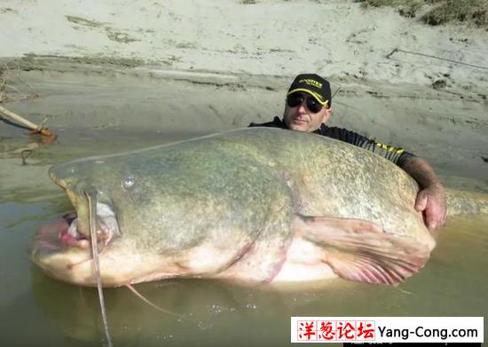男子在河中钓鱼 钓上来神秘巨兽(4)