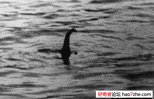 湖边拍摄时，意外拍到了几十年没有出现的传奇生物(3)
