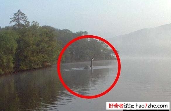 湖边拍摄时，意外拍到了几十年没有出现的传奇生物(1)