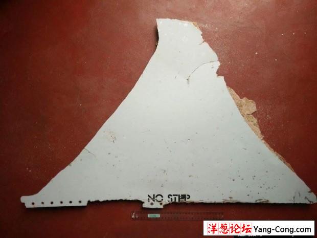 非洲东海岸发现疑似MH370残骸 照片曝光(4)