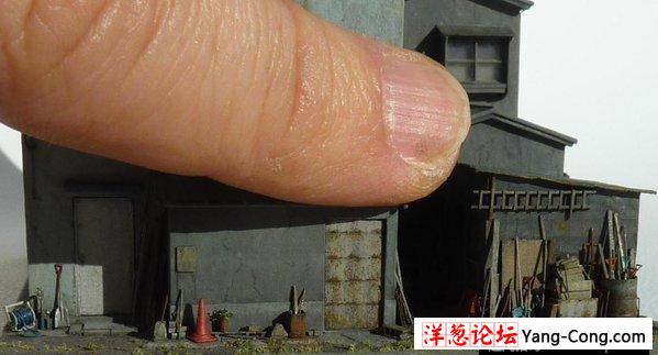 日本大神创作超迷你模型 比指甲盖还要小(6)