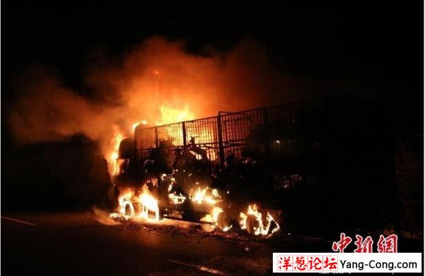 广西高速货车起火 300头活羊变“烤全羊”(1)