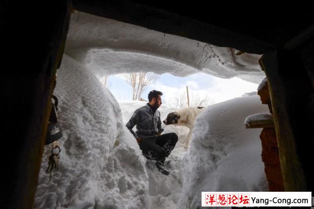 土耳其大雪淹没房屋 民众“挖地道”出行(5)