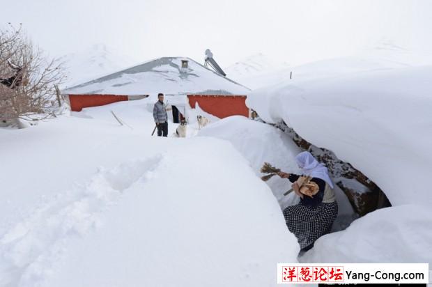 土耳其大雪淹没房屋 民众“挖地道”出行(3)