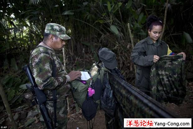 哥伦比亚女游击队员的丛林生活 吃烤猪抱枪入睡(1)