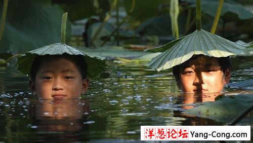 两个调皮的孩子在池塘里避暑