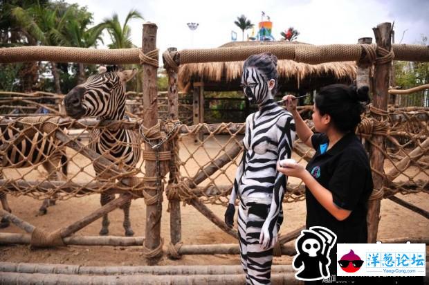 三亚动物园美女人体彩绘 与动物互动吸引游人(2)