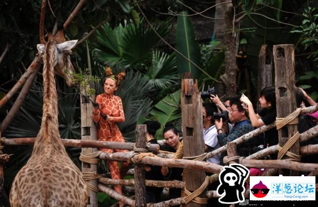 三亚动物园美女人体彩绘 与动物互动吸引游人(3)