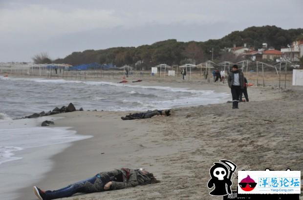 土耳其海滩现21具难民遗体 其中包括3名儿童(1)
