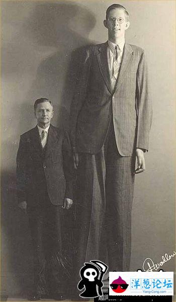 全球人体之最：最高和最矮男人握手(7)