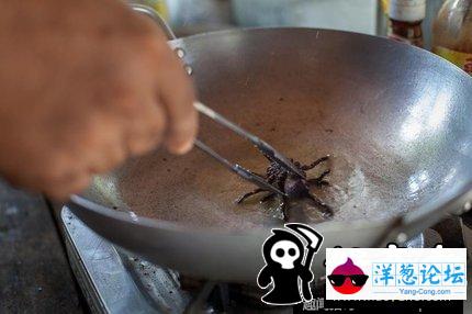 柬埔寨的油炸狼蛛：你敢吃吗？(5)