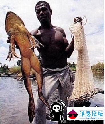 日本男子养巨型水蛭当宠物 用自己的血喂养(36)