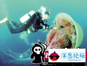 日本男子养巨型水蛭当宠物 用自己的血喂养(37)