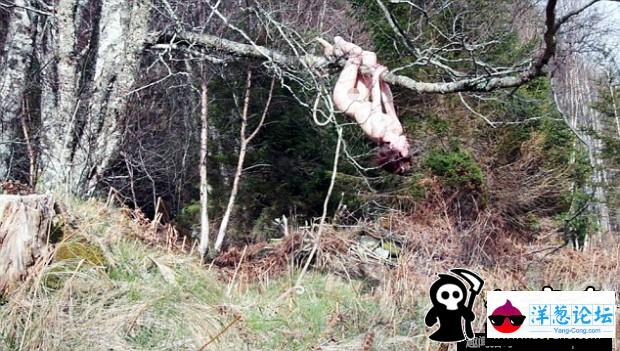 拍照意外 女全裸倒吊树上3小时 (2)