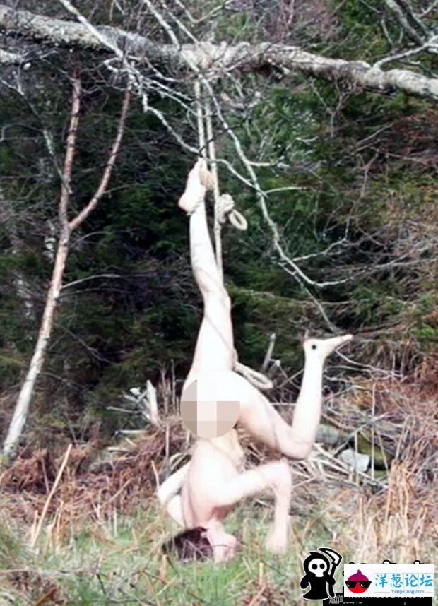 拍照意外 女全裸倒吊树上3小时 (1)