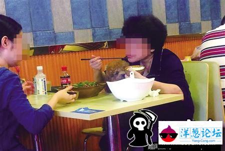 重庆母女餐厅吃饭与狗同桌 碗筷共用(3)