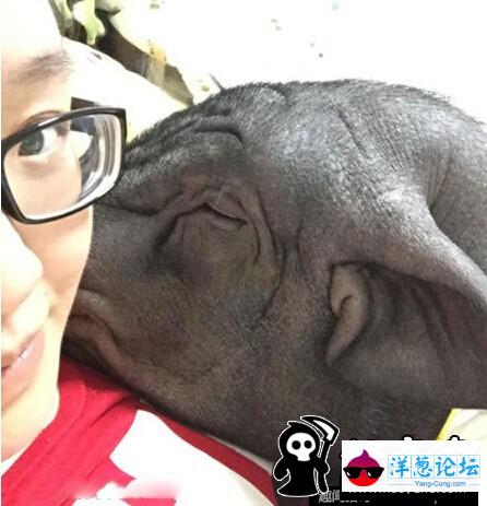 北京姑娘与170斤大猪同床睡觉 (1)