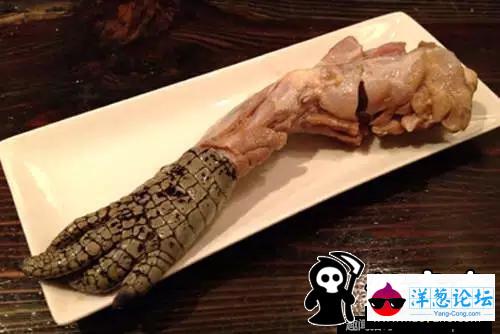 连中国人都怕的日本美食餐厅 这到底是啥生物(9)