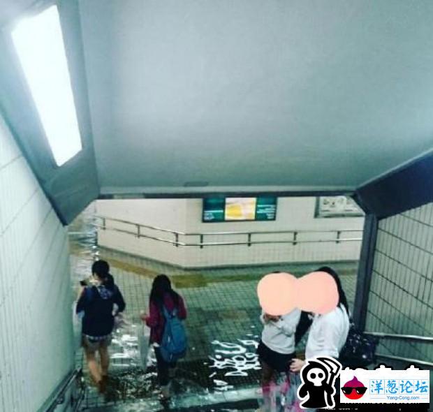 台风使积水倒灌 日本地下通道变游泳池(2)