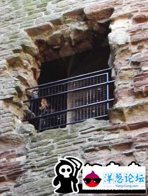 游客古堡内拍到疑似中世纪老妇鬼魂照片(组图)