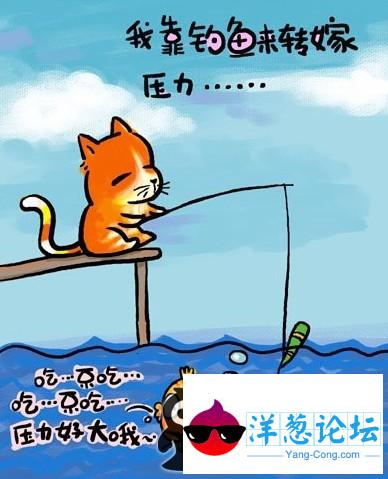 幽默漫画图片：流浪猫的人生歪理之四,最后一辑
